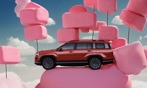 Araç Kampanya ve Prim Faturaları – DMS Entegrasyon fatura tipi